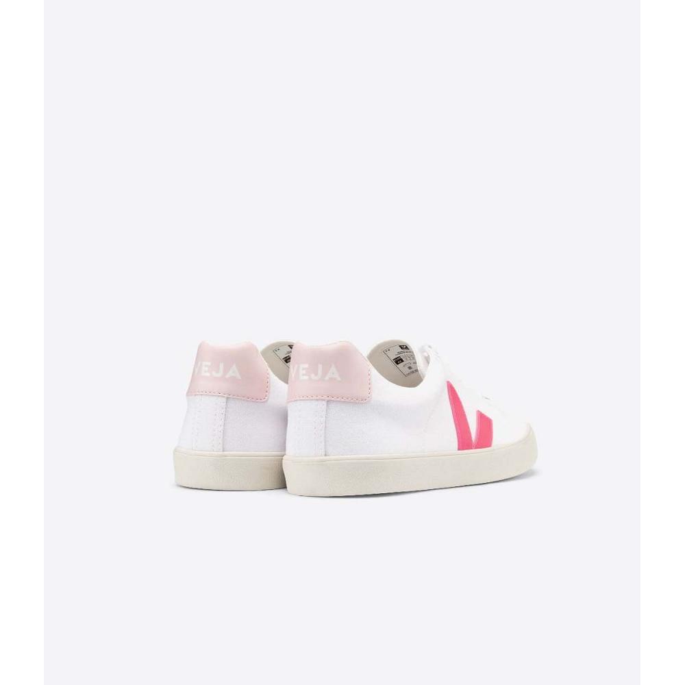 Veja ESPLAR SE CANVAS Women's Sneakers White/Pink | CA 608EBC